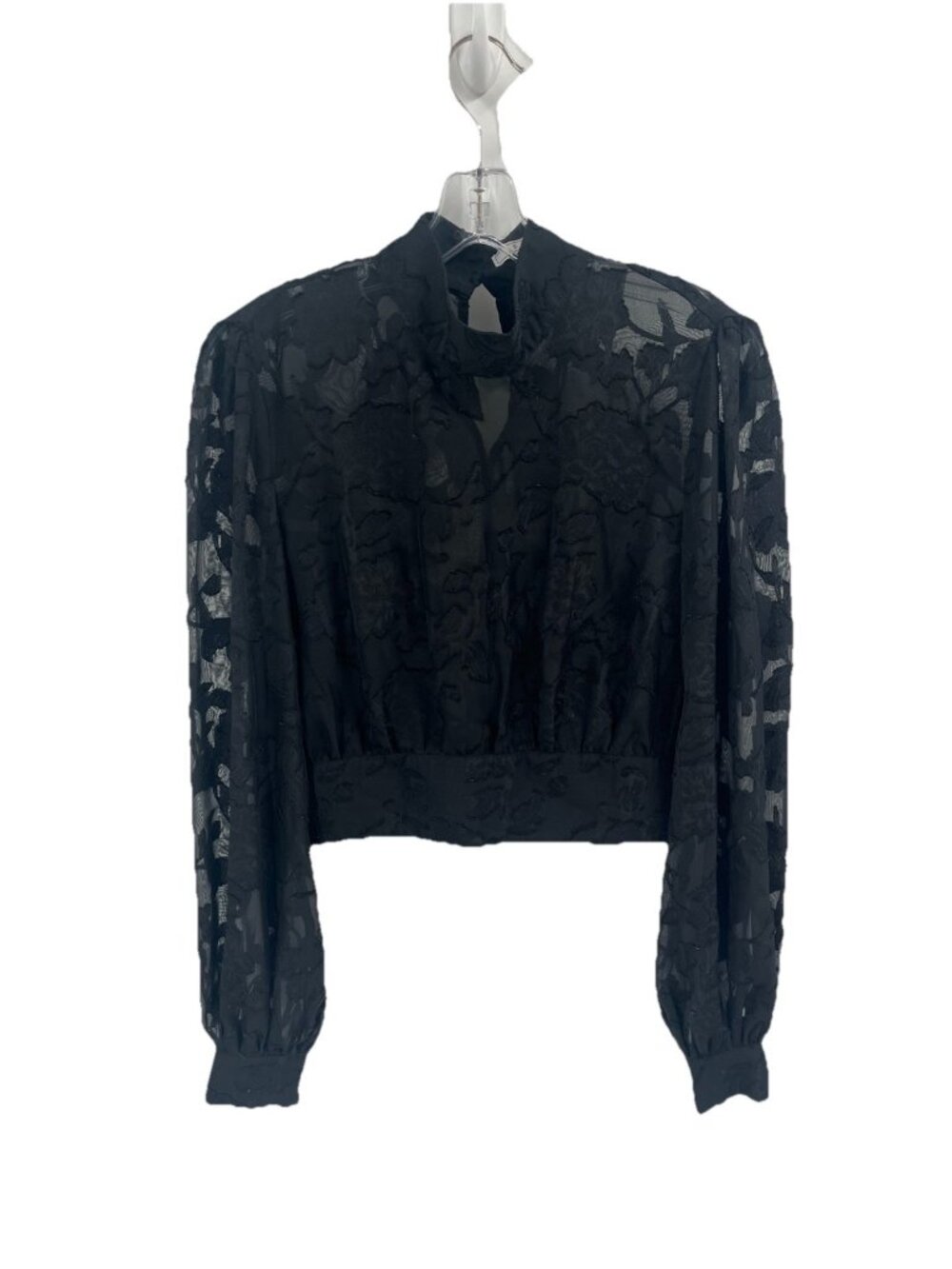 Senlis Black Sheer Lace Crop Top High Neck Long Sleeve Romantic Gothic Blouse M